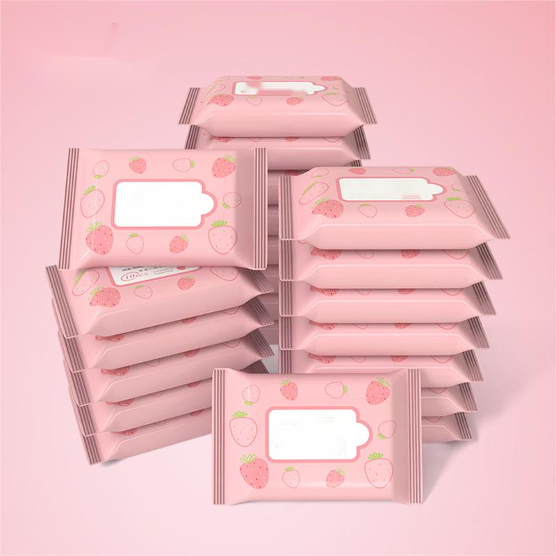 10 Pcs Packed Wet Wipes